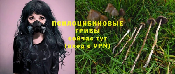 mix Заводоуковск
