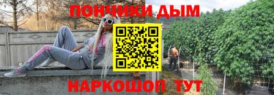 индика Краснознаменск