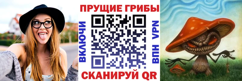 Псилоцибиновые грибы GOLDEN TEACHER Камышлов