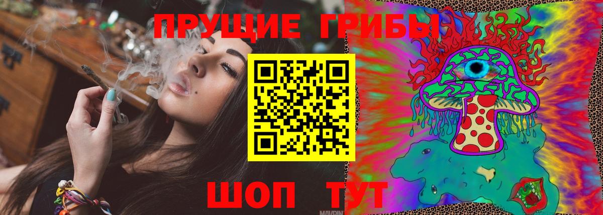 Галлюциногенные грибы Magic Shrooms  Псилоцибиновые грибы Psilocybe  Камышлов  Вход с VPN 