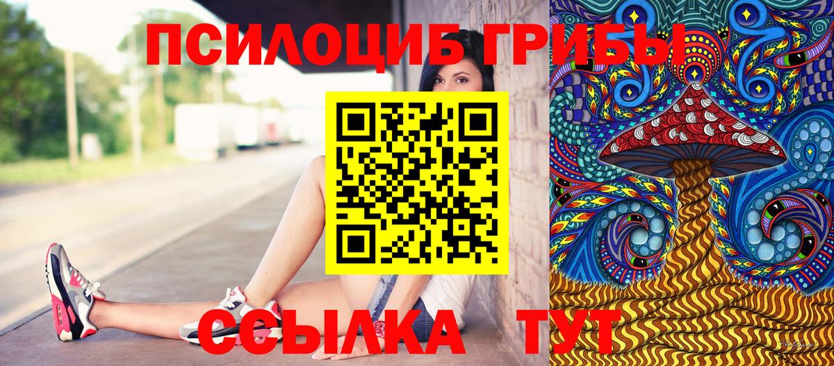 Галлюциногенные грибы прущие грибы Камышлов