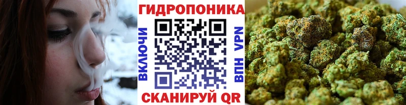 Каннабис сатива  Камышлов 